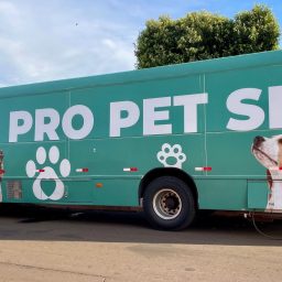 Jales terá Mutirão de Castrações de cães e gatos nos dias 7 e 8 de novembro