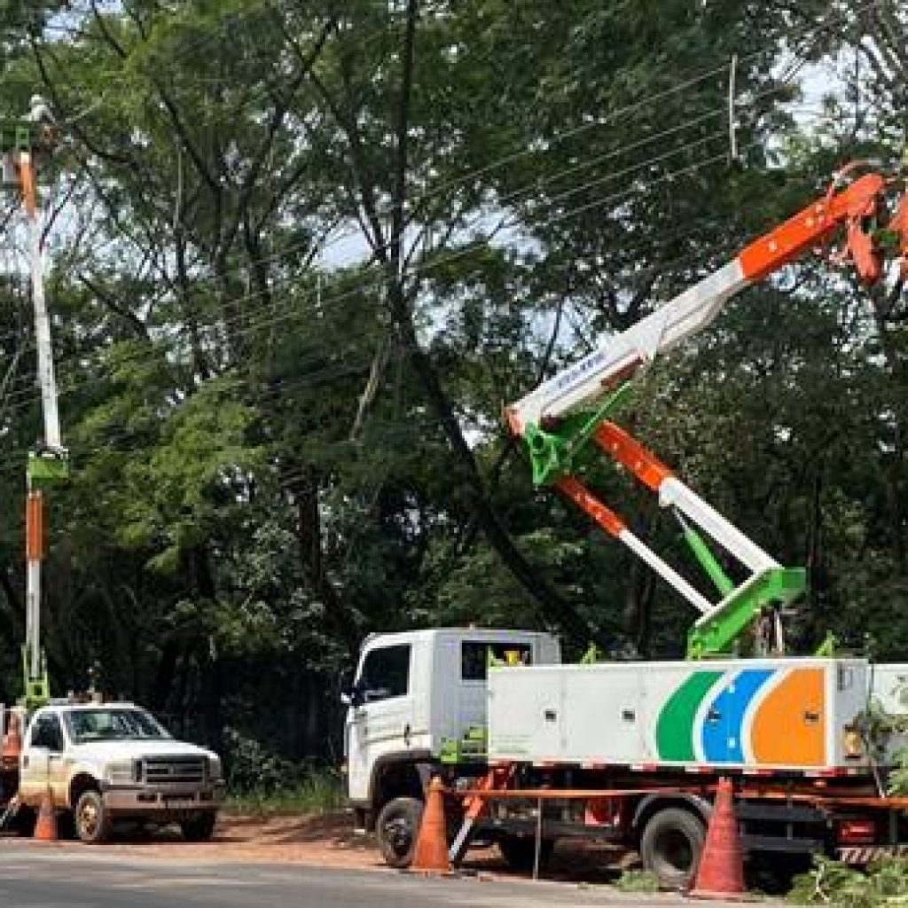 Podas e manutenções preventivas reforçam segurança da rede elétrica de Jales e cidades vizinhas