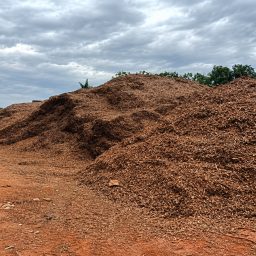 Prefeitura disponibiliza doação gratuita de galhos triturados para produtores rurais